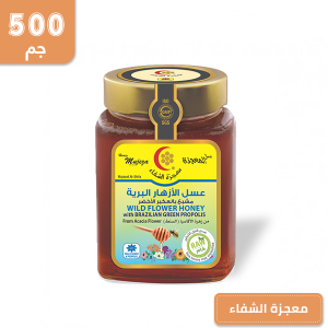 عسل سنديان جبلى 500 جرام - التوفير دوت كوم